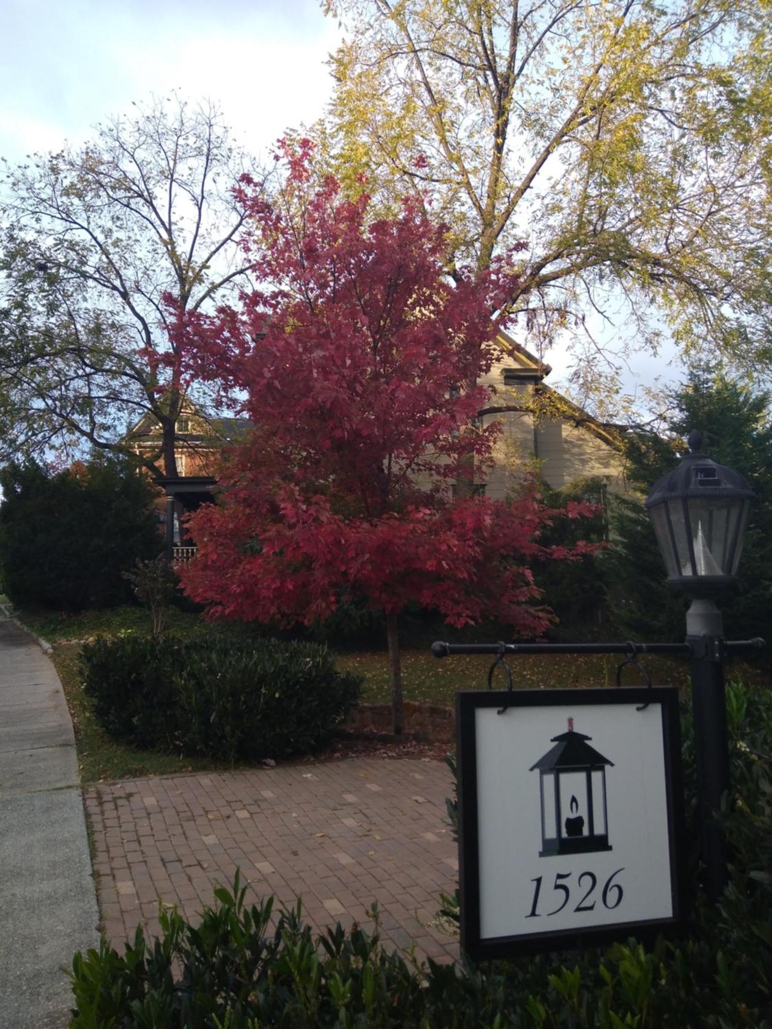 Black Lantern Inn Roanoke Exterior photo